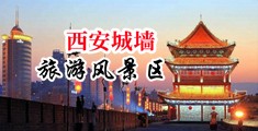 黑屌操中国陕西-西安城墙旅游风景区